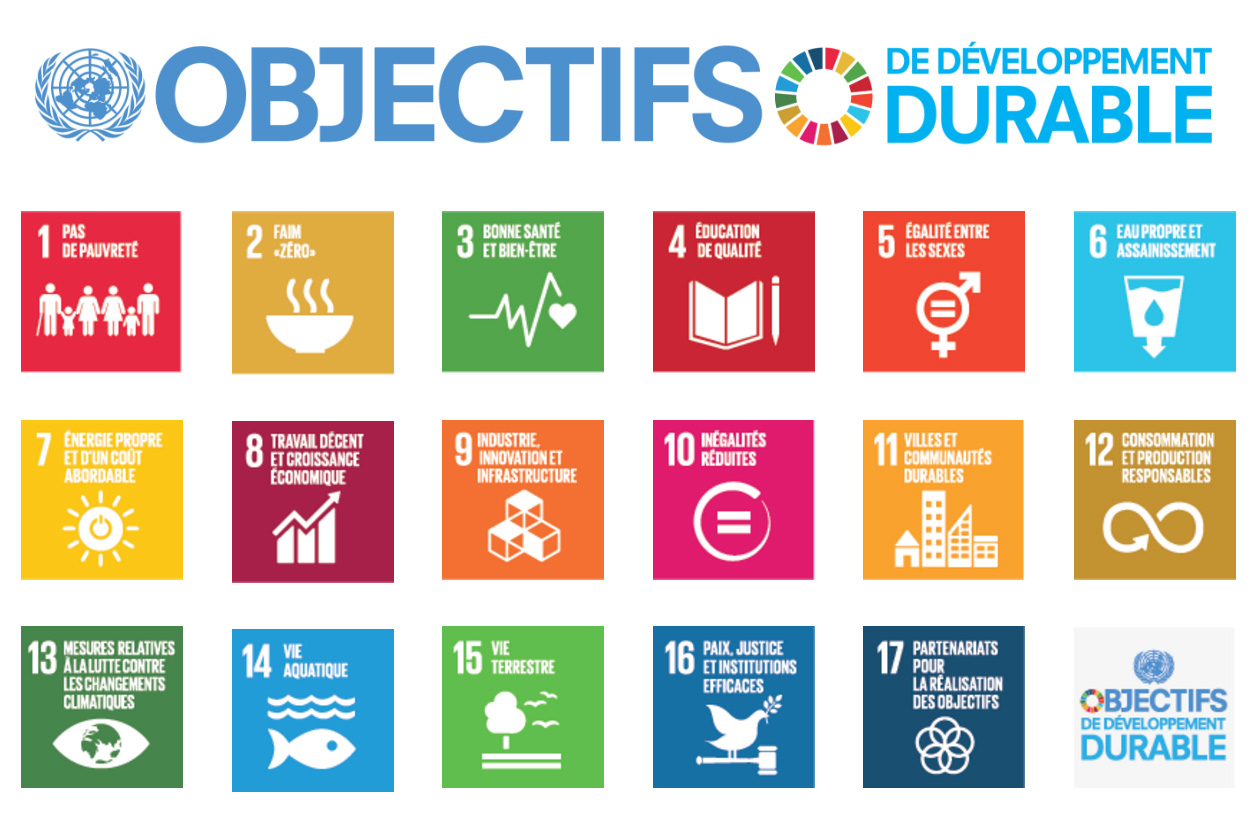 Figure 2 : Les questions de l’équité sociale et l’inclusion occupent une place importante dans les objectifs de développement durable de l’Organisation des Nations Unies. 
